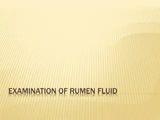 Examination of Rumen Fluid and Methods of Collection