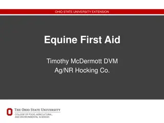 Equine First Aid Essentials: Ohio State University Extension Guide