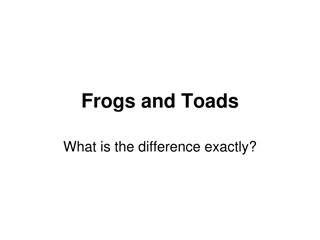 Differences Between Frogs and Toads: Explained with Images