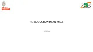 Understanding Animal Reproduction: Key Concepts and Life Cycles