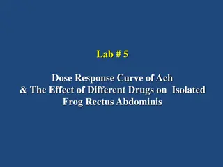 Neuromuscular Transmission and Drug Effects on Frog Rectus Abdominis