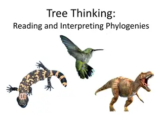 Phylogenetic Trees: An Introduction to Tree Thinking