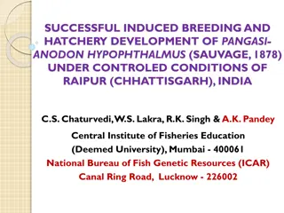 Successful Induced Breeding and Hatchery Development of Pangasianodon Hypophthalmus under Controlled Conditions