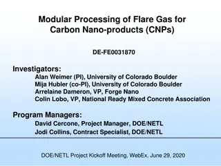 Sustainable Conversion of Flare Gas into High-Value Carbon Nano-products