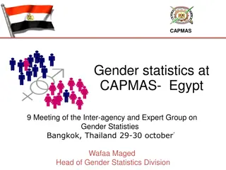 Gender Statistics Initiatives in Egypt: A Comprehensive Overview