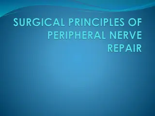 Understanding Peripheral Nerve Injuries and Intervention Strategies