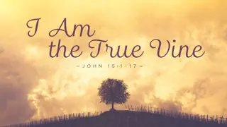 The True Vine: Insights from John 15