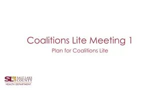 Coalition Lite Meeting 1: Strategic Planning for Success