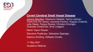 Expert Guidelines on Treatment of Small Vessel Disease