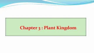 Plant Kingdom Diversity and Characteristics