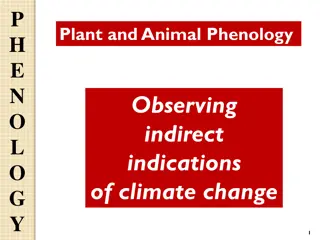 Understanding Plant and Animal Phenology in Relation to Climate Change