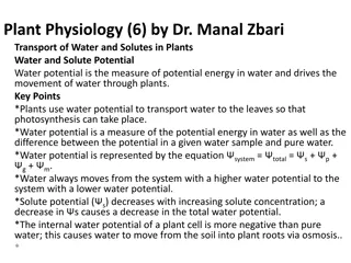 Understanding Water Potential in Plant Physiology