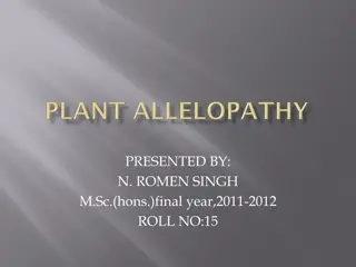 Understanding Allelopathy in Plants: History, Effects, and Significance