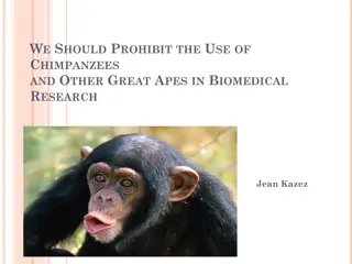 Ethical Considerations for the Use of Great Apes in Research