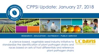 Standardizing Identification of Plant Pathogen Strains in Vegetable Seed Industry