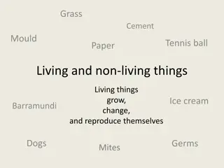 Living and Non-Living Things Through Images