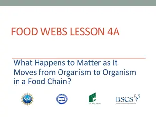 Understanding Matter Transfer in Food Chains