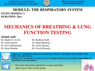 Understanding Mechanics of Breathing in the Respiratory System