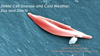 Understanding the Impact of Cold Weather on Sickle Cell Disease