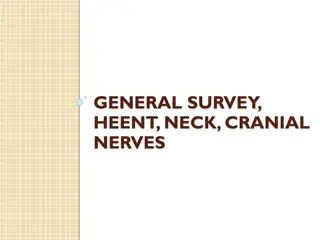 Comprehensive Adult and Pediatric HEENT, Neck, and Cranial Nerves Examination Guide