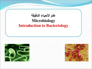 Introduction to Bacterial Cells Morphology in Microbiology