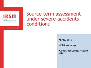 Source Term Assessment in Severe Nuclear Accidents