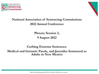 Addressing Aging Inmates: Challenges and Solutions in New Mexico's Justice System