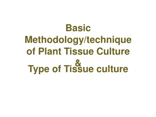 Plant Tissue Culture Techniques and Types Explained