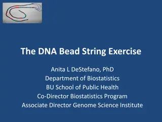 Innovative DNA Bead String Exercise for Biostatistics Learning