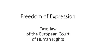 Freedom of Expression: European Court of Human Rights Case Law