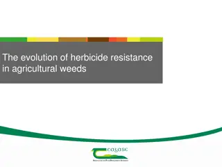 Herbicide Resistance in Agricultural Weeds