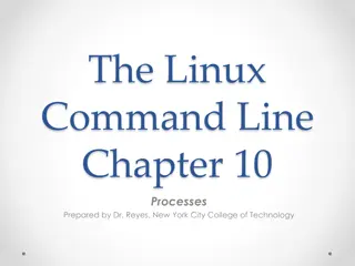 Linux Processes and Controlling Them