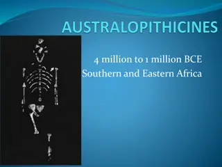 Evolution of Early Humans in Africa: A Journey Through Time