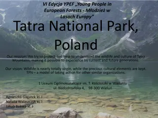 Wildlife and Culture Conservation in Tatra Mountains