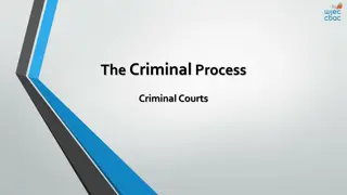 The Criminal Justice System in Court Proceedings