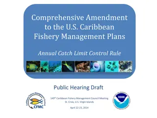 Revised U.S. Caribbean Fishery Management Plans