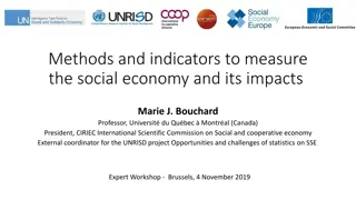 Challenges in Measuring the Social Economy and its Impacts