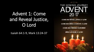 The Homing Journey Advent Reflections