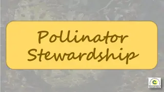 Celebrating Pollinator Stewardship Through Nature's Wonders