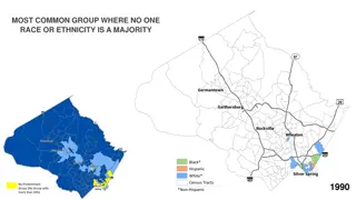 Diversity in US Census Tracts Over Decades