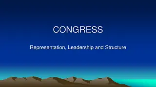 Structure and Challenges of the US Congress