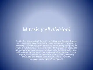 Comprehensive Notes on Mitosis and Cell Division Process