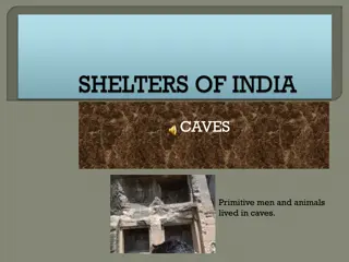 Evolution of Shelter: From Caves to Mansions