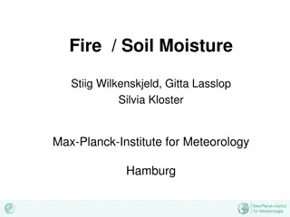 Insights on Fire and Soil Moisture Relationships from Max-Planck-Institute Research