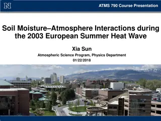 Soil Moisture-Atmosphere Interactions in the 2003 European Summer Heat Wave