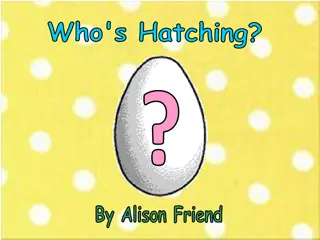 Peep's Egg Hatching Adventure