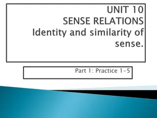 Understanding Sense and Reference in Everyday Language