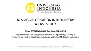 Nickel Slag Valorisation in Indonesia: A Case Study