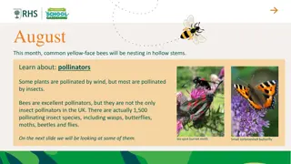 Discovering Pollinating Insects in the UK