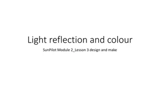 Discovering Light Reflection and Color in Nature